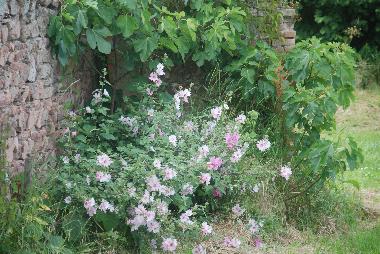 Casa de vacaciones en La Pacaudiere (Loire)Casa de vacaciones