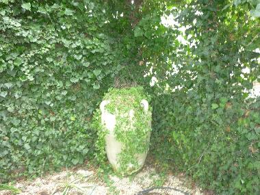 Villa en Treccastagni (Catania)Casa de vacaciones