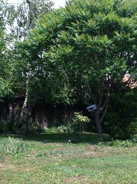 Casa de vacaciones en gy�k�nyes (Somogy)Casa de vacaciones