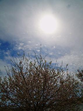 Casa de vacaciones en SYROS (Kyklades)Casa de vacaciones