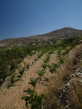 Casa de vacaciones en SYROS (Kyklades)Casa de vacaciones