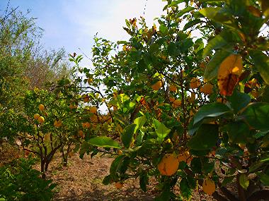 Casa de vacaciones en SYROS (Kyklades)Casa de vacaciones