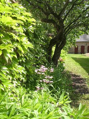 Apartamento de vacaciones en Rheinsberg (Ostprignitz-Ruppin)Casa de vacaciones
