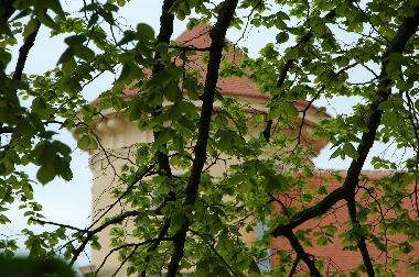 Apartamento de vacaciones en Rheinsberg (Ostprignitz-Ruppin)Casa de vacaciones