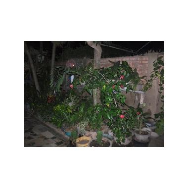 Casa de vacaciones en lom� (Notse)Casa de vacaciones