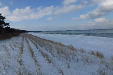 Apartamento de vacaciones en Sellin (Ostsee-Inseln)Casa de vacaciones