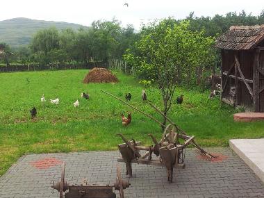 Casa de vacaciones en sancel (Sibiu)Casa de vacaciones