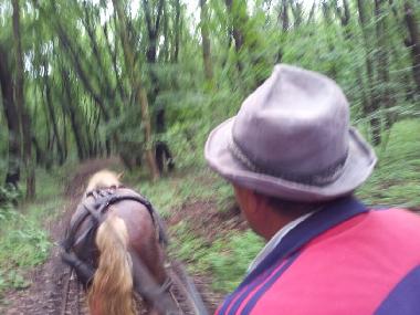 Casa de vacaciones en sancel (Sibiu)Casa de vacaciones