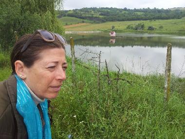 Casa de vacaciones en sancel (Sibiu)Casa de vacaciones