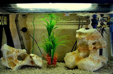 Cama y desayuno en Catania (Catania)Casa de vacaciones