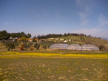 Cama y desayuno en Collesalvetti - Crocino (Livorno)Casa de vacaciones