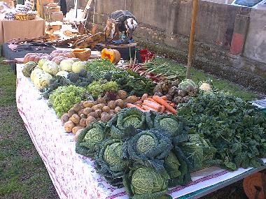 Cama y desayuno en Collesalvetti - Crocino (Livorno)Casa de vacaciones