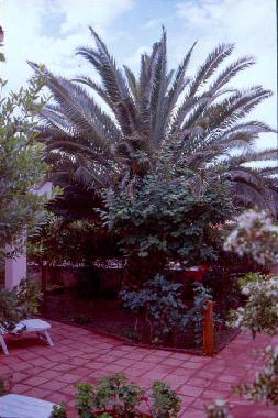 Casa de vacaciones en Budoni (Olbia-Tempio)Casa de vacaciones