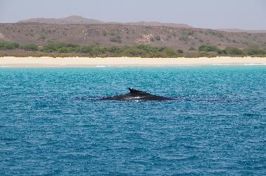 Apartamento de vacaciones en Sal Rei (Boa Vista)Casa de vacaciones