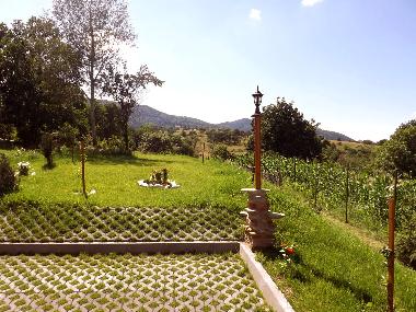 Apartamento de vacaciones en Vale (Sibiu)Casa de vacaciones