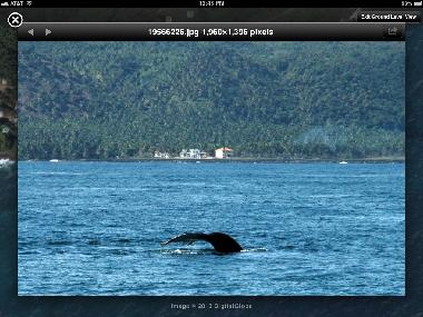 Villa en SAMANA (Samana)Casa de vacaciones