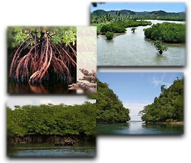 Cama y desayuno en San Isidro (Surigao del Norte)Casa de vacaciones