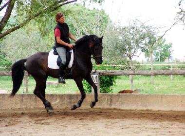 Casa de vacaciones en Montarnaud (H�rault)Casa de vacaciones