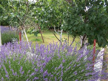 Cama y desayuno en Pula (Istarska)Casa de vacaciones