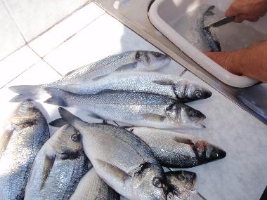 Apartamento de vacaciones en Pula (Istarska)Casa de vacaciones