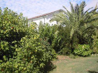 Villa en Ponte de Lima (Norte)Casa de vacaciones