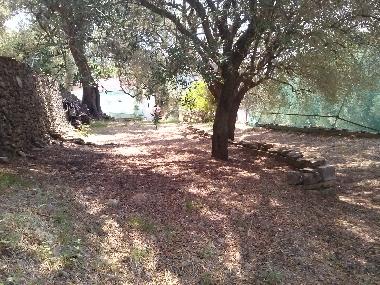 Villa en Pisciotta (Salerno)Casa de vacaciones