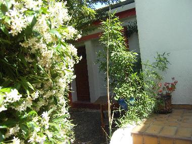 Apartamento de vacaciones en montpellier (Hrault)Casa de vacaciones