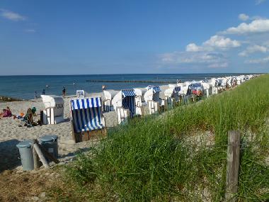 Casa de vacaciones en Zingst (Fischland-Dar�-Zingst)Casa de vacaciones