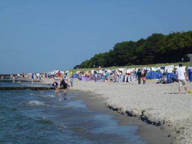 Casa de vacaciones en Zingst (Fischland-Dar�-Zingst)Casa de vacaciones