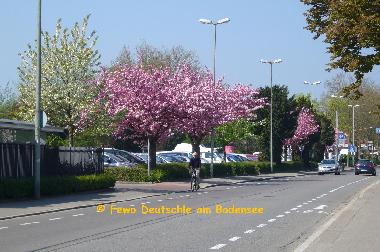 Apartamento de vacaciones en Friedrichshafen (Bodensee)Casa de vacaciones