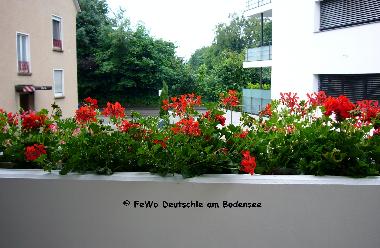 Apartamento de vacaciones en Friedrichshafen (Bodensee)Casa de vacaciones