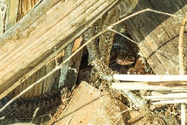 Casa de vacaciones en Uherce Mineralne (Podkarpackie)Casa de vacaciones