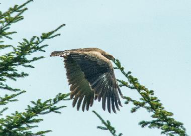 Casa de vacaciones en Uherce Mineralne (Podkarpackie)Casa de vacaciones