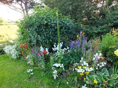 Casa de vacaciones en Newport (Mayo)Casa de vacaciones