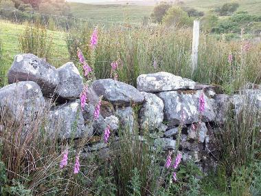 Casa de vacaciones en Newport (Mayo)Casa de vacaciones