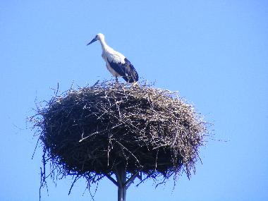 Apartamento de vacaciones en Insko (Zachodniopomorskie)Casa de vacaciones