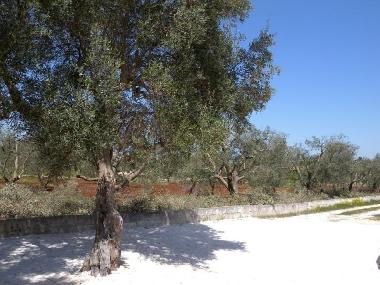 Casa de vacaciones en Ostuni (Brindisi)Casa de vacaciones