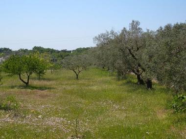 Casa de vacaciones en Ostuni (Brindisi)Casa de vacaciones
