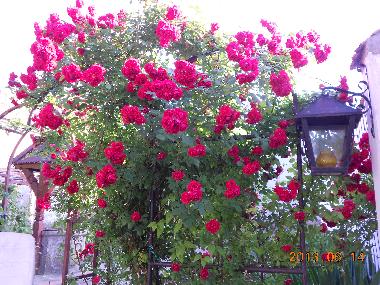 Villa en Agyagosszergeny (Gyor-Moson-Sopron)Casa de vacaciones