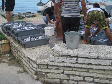 Apartamento de vacaciones en Balchik (Dobrich)Casa de vacaciones