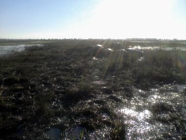 Casa de vacaciones en Maun (Ngamiland)Casa de vacaciones