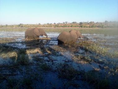 Casa de vacaciones en Maun (Ngamiland)Casa de vacaciones