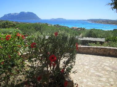 Apartamento de vacaciones en Porto Istana (Olbia-Tempio)Casa de vacaciones