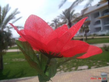 Apartamento de vacaciones en Torreblanca (Castell�n / Castell�)Casa de vacaciones