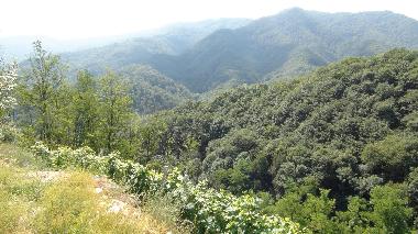 Casa de vacaciones en Brondello (Cuneo)Casa de vacaciones