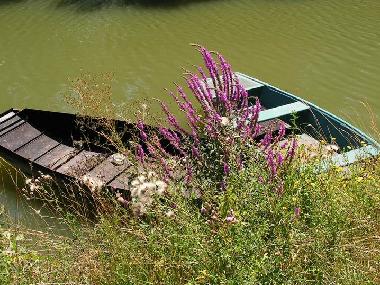 Casa de vacaciones en bournezeau (Vend�e)Casa de vacaciones