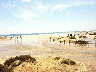 Cama y desayuno en  (Fuerteventura)Casa de vacaciones