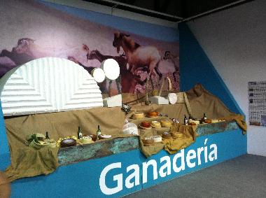 Cama y desayuno en  (Fuerteventura)Casa de vacaciones