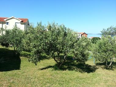 Apartamento de vacaciones en DRAGE (Zadarska)Casa de vacaciones