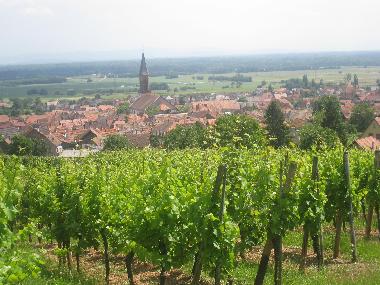 Apartamento de vacaciones en KINTZHEIM (Bas-Rhin)Casa de vacaciones